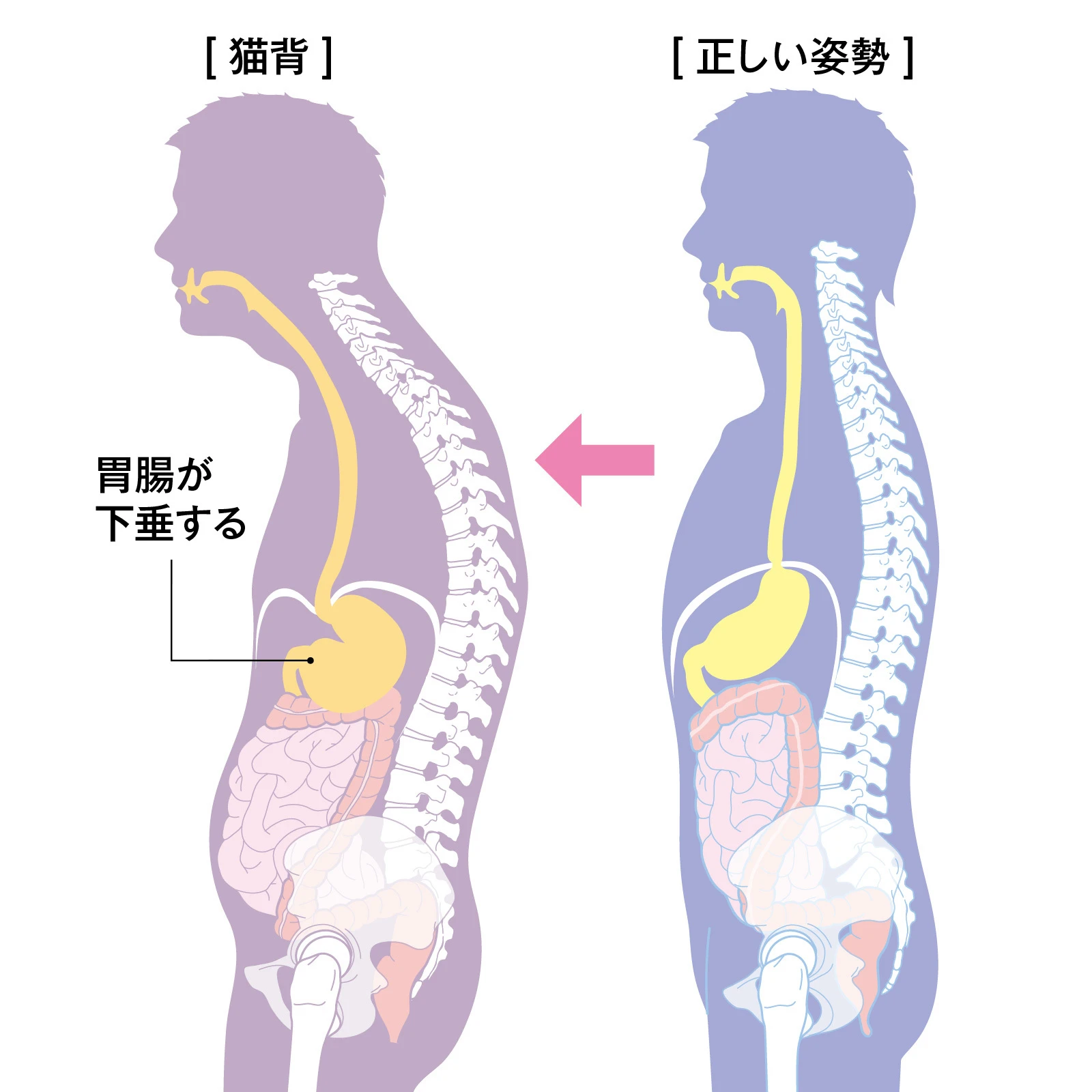ダウンロード