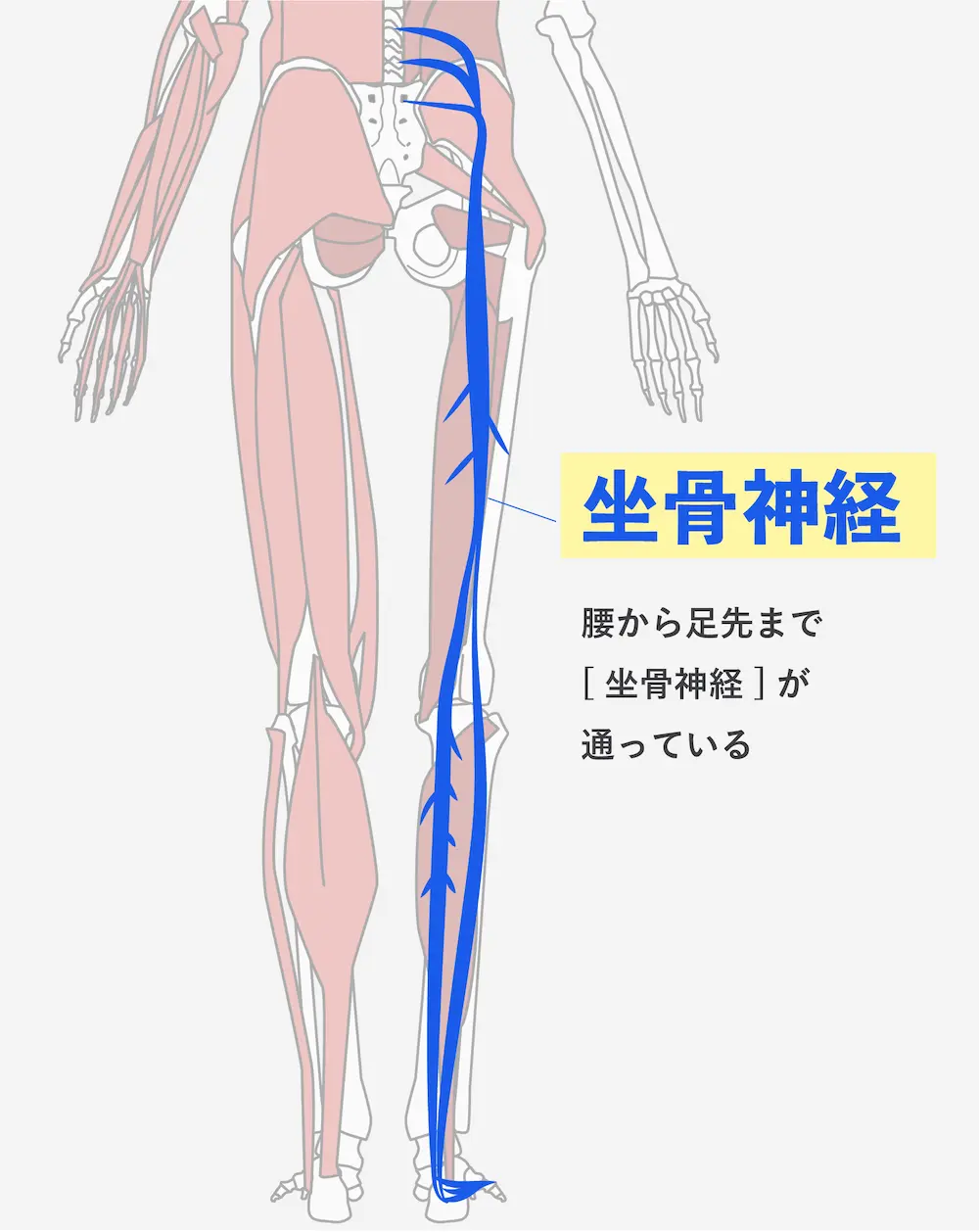 ご予約はこちら