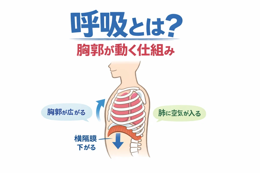 ダウンロード