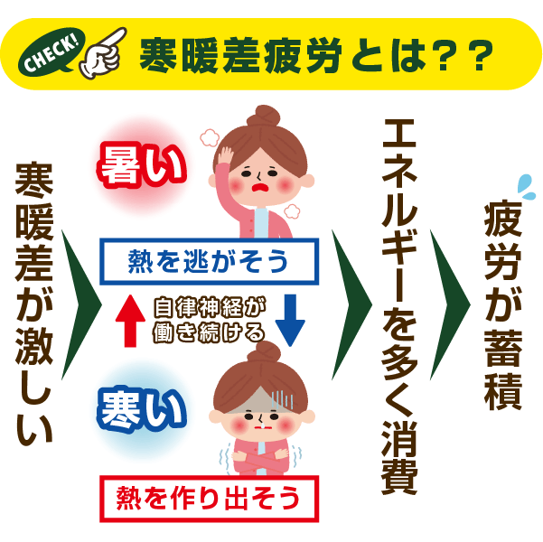ダウンロード