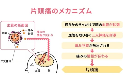 デザインカラーが得意なスタイリストが在籍