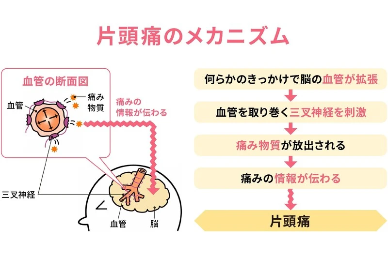 デザインカラーが得意なスタイリストが在籍