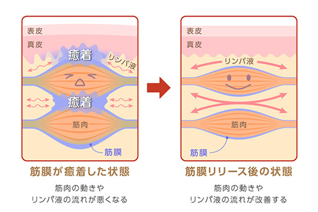 ご予約はこちら